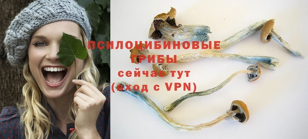 ALPHA-PVP Белокуриха