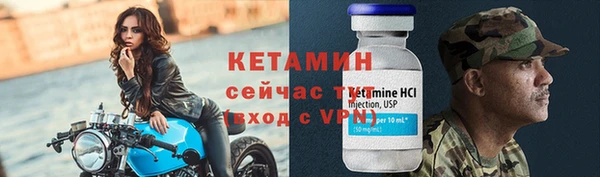 прущие грибы Балабаново