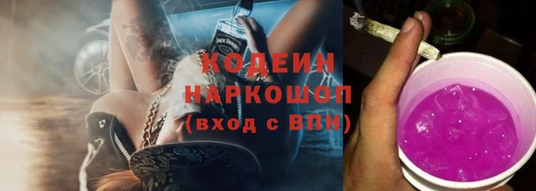 ешки Инта