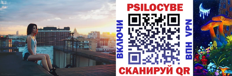 продажа наркотиков  Гудермес  Псилоцибиновые грибы мицелий 